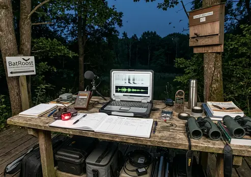 Image showing dusk_observation