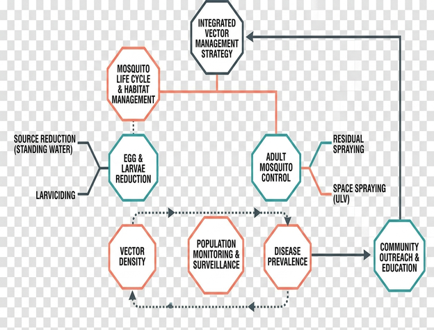 Image showing mosquito_management_diagram