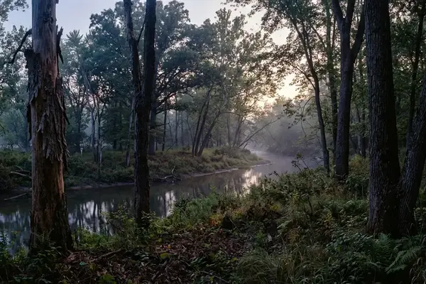 Case Study: The Indiana Bat Recovery Effort and the Role of Protected Riparian Corridors