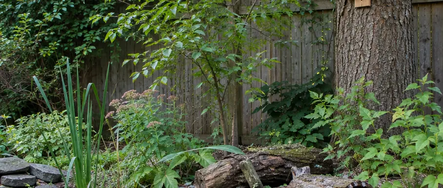 Image showing habitat
