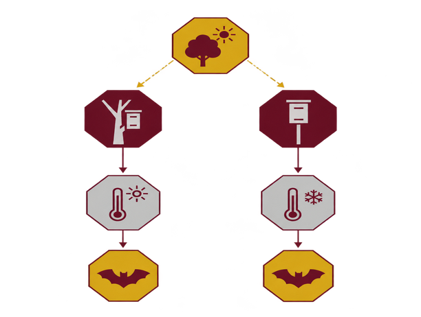 Image showing canopy shade diagram
